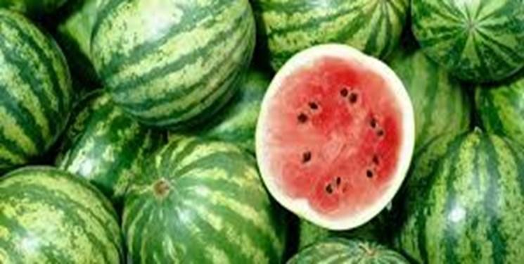 قیمت هندوانه و انار شب یلدا اعلام شد