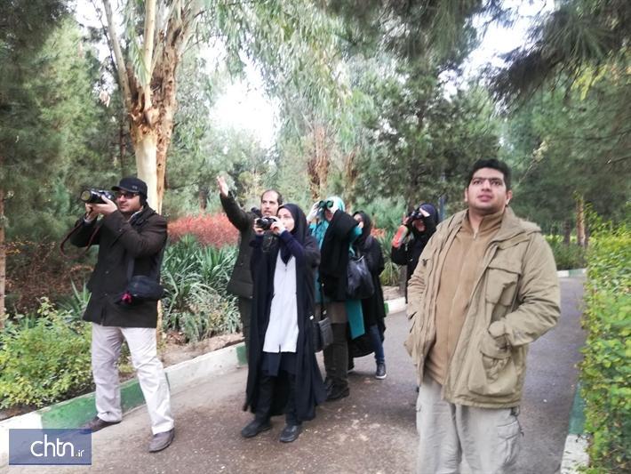 کارگاه آشنایی با پرنده نگری در قم برگزار گردید