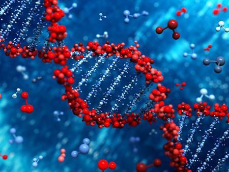 مشخصه یابی ژنوم در رشته DNA با ترکیب سه فناوری محقق شد