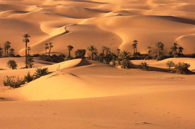 فیلم، اینجا دریا نیست؛ کویر لوت است!