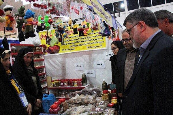 مسائل کارآفرینان خراسان جنوبی برطرف می شود