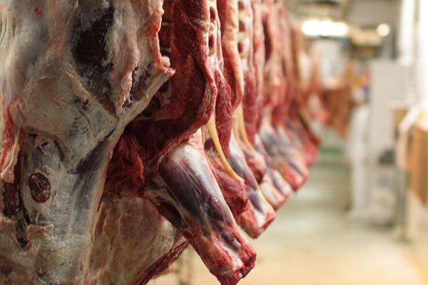 کاهش 5000 تومانی قیمت گوشت گوسفندی در کرمانشاه