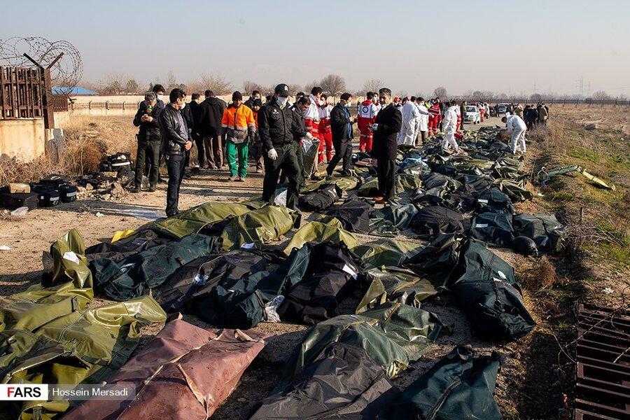 13 شریفی در میان جانباختگان سقوط هواپیمای اوکراینی