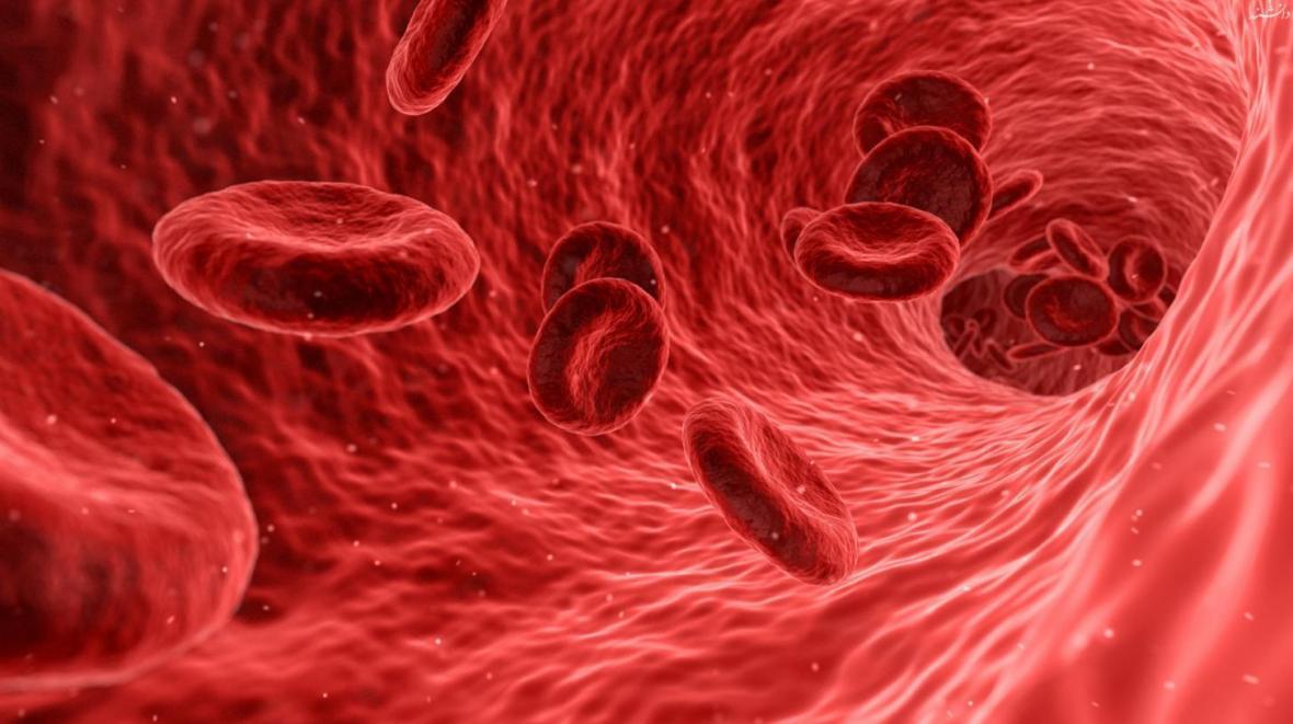 فرآیند شناسایی ذرات پلاکت در رگ های خونی تسهیل شد