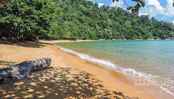 سی سنگان هم جنگل است هم ساحل