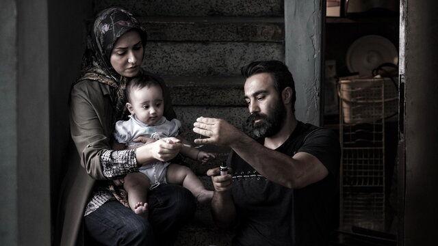 روایت دغدغه های انسانی در فیلم های روز نخست جشنواره