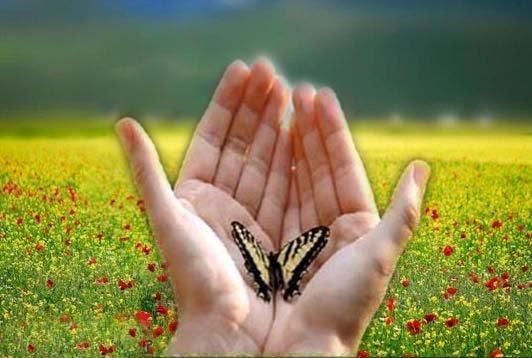 موسسه مجمع خیرین روستایی در آذربایجان غربی ایجاد می گردد