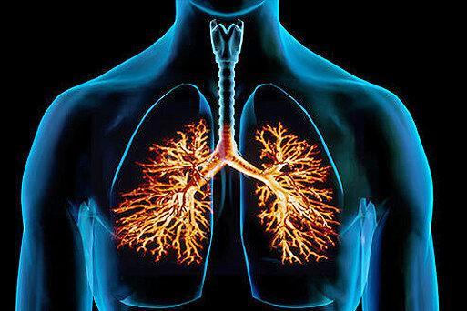 فیلم، چهارمین علت مرگ در جهان چیست؟، چه کنیم به این بیماری خطرناک دچار نشویم؟