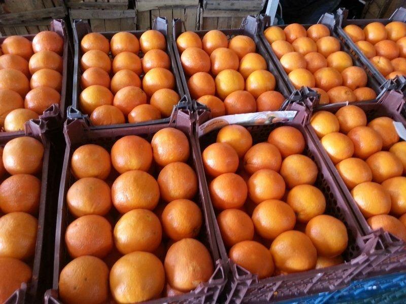 خریداری بیش از یک هزار تن میوه شب عید در یزد