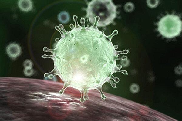 ساعت کاری دستگاه های اجرایی گیلان تغییر کرد