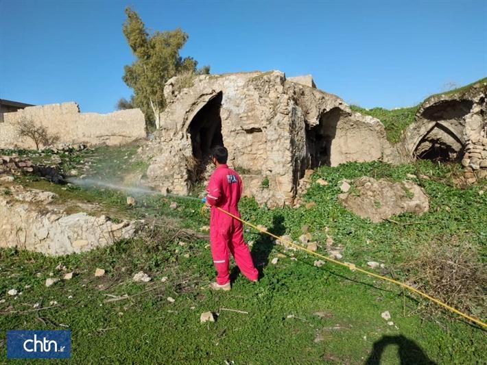 نخستین مرحله سم پاشی در بلادشاپور شروع شد
