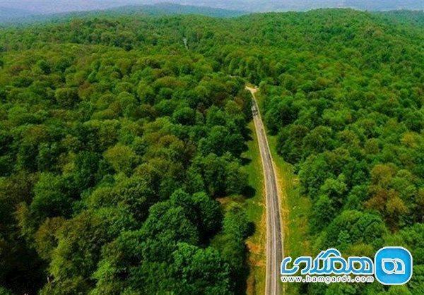 نابودی جنگل های ایران تا سالهای آینده صحت دارد؟