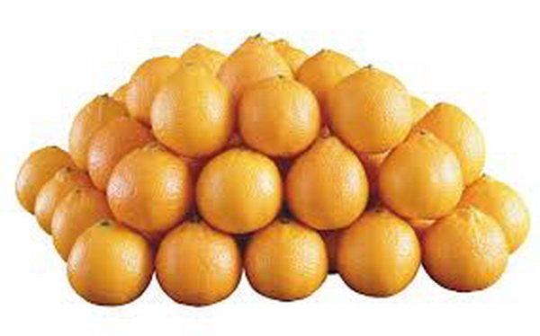 درخشش پرتقال های تامسون رودسر در شب عید سال جاری