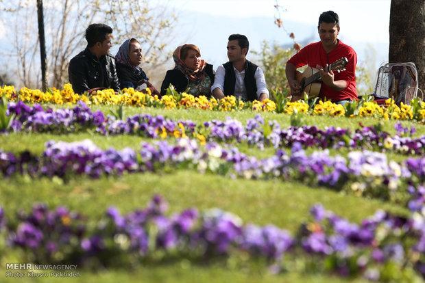 احداث بوستان 6هکتاری در مرکز شهر تهران آغاز شد احداث بوستان 6هکتاری در مرکز شهر تهران آغاز شد