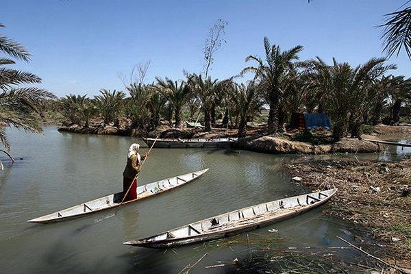 ضرورت انتقال آب میان حوضه ای از کارون به جراحی برای نجات تالاب شادگان