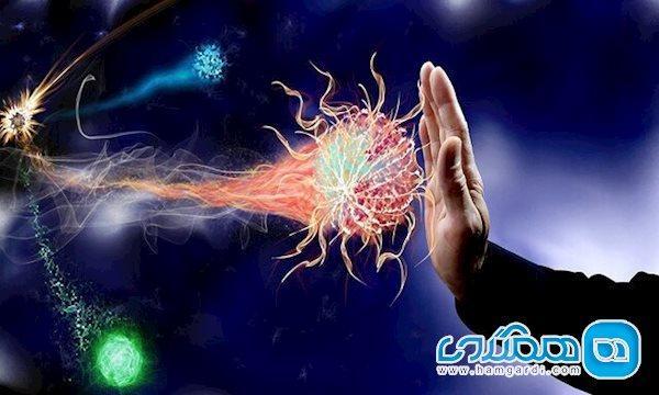 سیستم ایمنی بدن و توصیه هایی برای تقویت آن سیستم ایمنی بدن و توصیه هایی برای تقویت آن