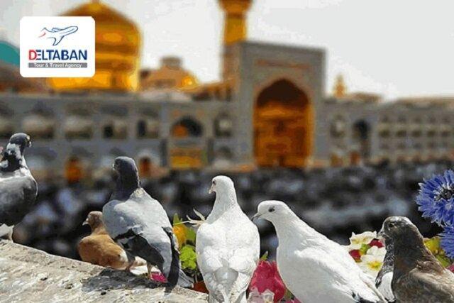 تور مشهد از تورهای معروف کشور