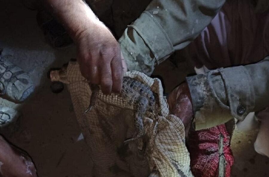 نوزاد گاندو از روستای عورکی چابهار به زیستگاهش برگردانده شد