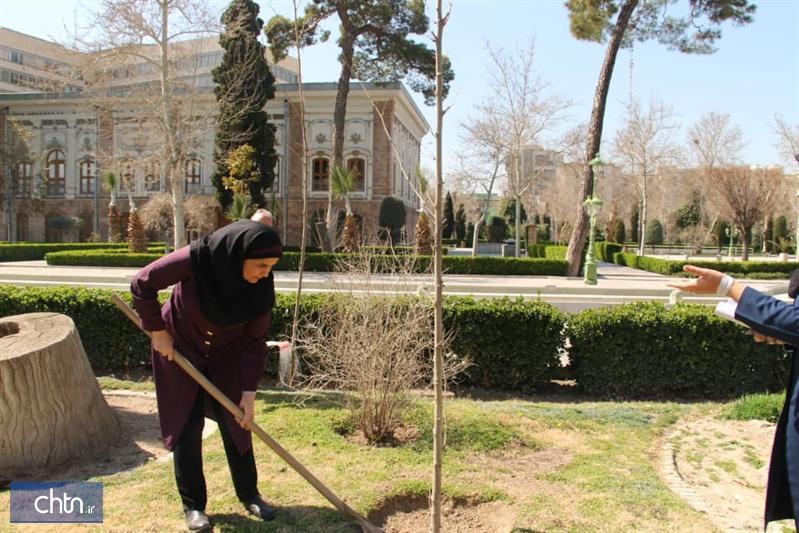کاشت 50 اصله نهال چنار در مجموعه میراث جهانی کاخ گلستان