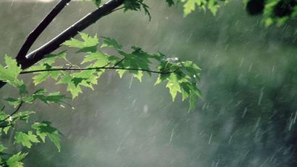 پیش بینی بارش های پراکنده باران در مازندران