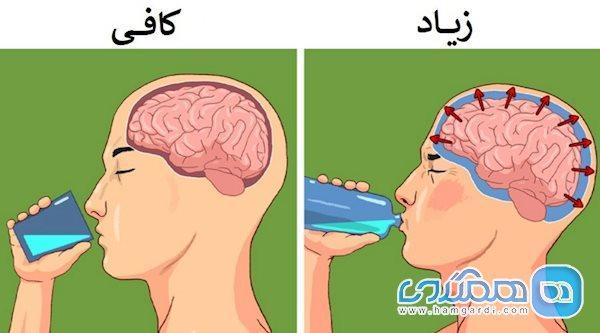 مواد غذایی سالمی که زیاده روی در مصرف آن ها مضر است