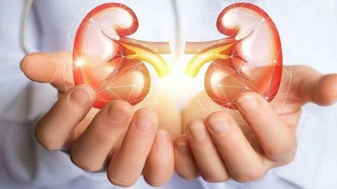 ریسک بالای بیماری های کلیوی به دلیل آلودگی هوا ریسک بالای بیماری های کلیوی به دلیل آلودگی هوا