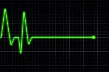 مشاهده فعالیت مغزی پس از مرگ، زنده بودن مغز پس از یک کمای بسیار عمیق