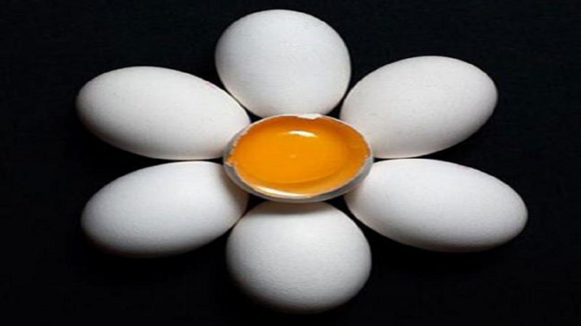 مدت زمان نگهداری تخم مرغ در بیرون از یخچال