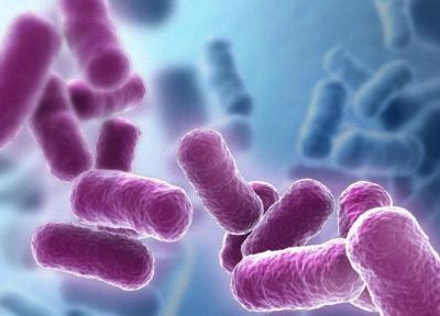 باکتری های مقاوم در برابر دارو با کپسید مهندسی شده نابود می شوند