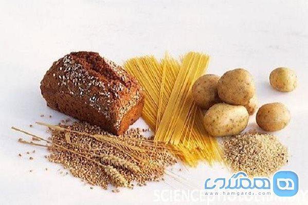 رژیم غذایی کم کربوهیدرات از تاثیر افزایش سن بر مغز پیشگیری می نماید