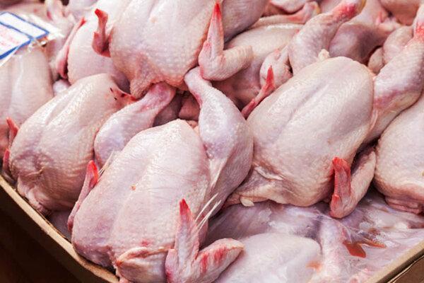 خرید تضمینی گوشت مرغ درچهارمحال و بختیاری