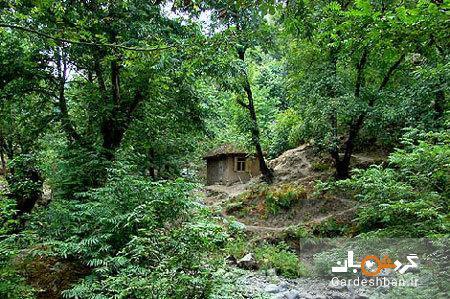 سفر به ییلاق آغوزحال مازنداران؛منطقه ای بکر برای گردشگران سفر به ییلاق آغوزحال مازنداران؛منطقه ای بکر برای گردشگران