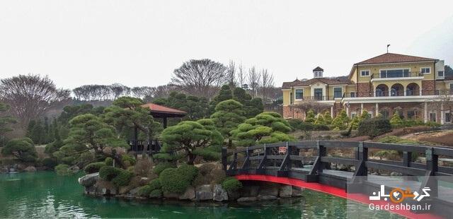 گشت و گذاری متفاوت در پارک خرس ها