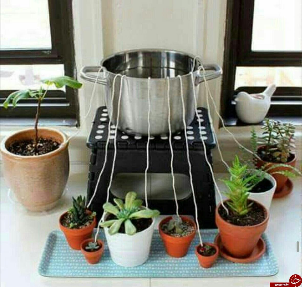 چگونه آب گلدان ها را در زمان مسافرت تامین کنیم؟