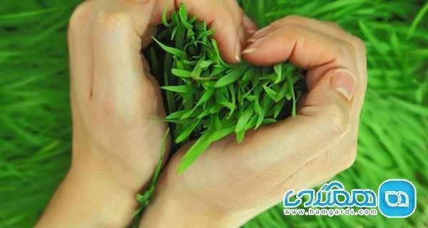شهرهای ایران زمین به پیشواز سیزده دیگری می فرایند