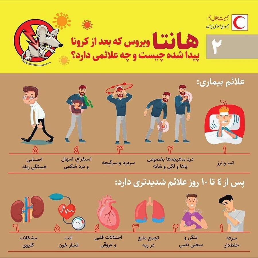اطلاع نگاشت ، علائم هانتاویروس؛ ویروسی که از جوندگان به انسان منتقل می گردد