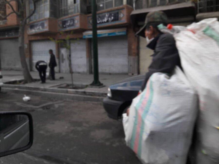 انتشار بی وقفه آلودگی ، زباله گردها همچنان در شهر پرسه می زنند
