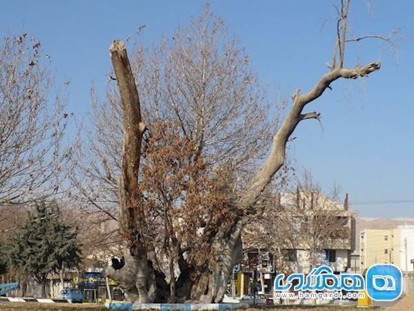 ورود 30 اثر استان سمنان به فهرست آثار ملی در سال گذشته ورود 30 اثر استان سمنان به فهرست آثار ملی در سال گذشته
