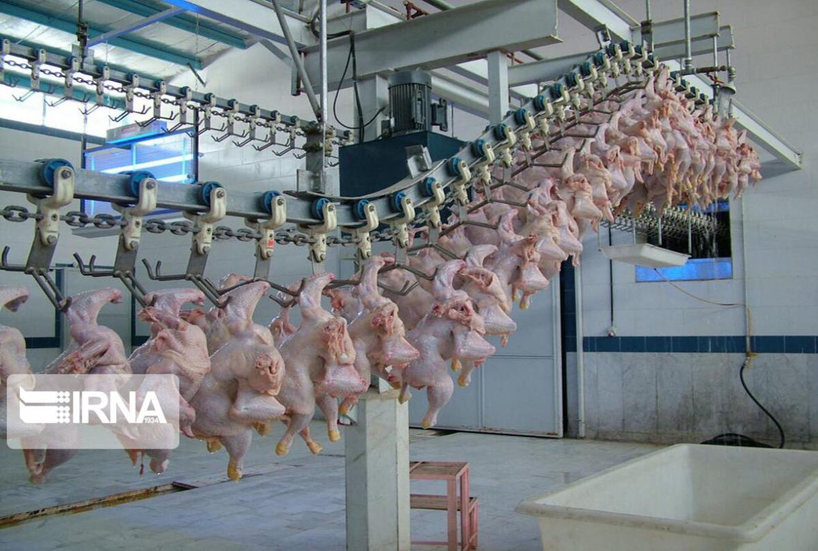 خبرنگاران کمبود گوشت مرغ در خراسان جنوبی وجود ندارد