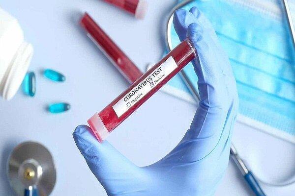 افزایش چشمگیر مرگ و میر در هلند