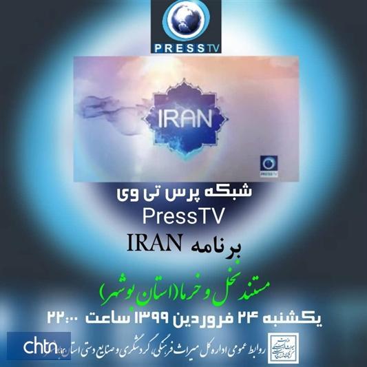 نخلستان های بوشهر در قاب رسانه های ملی و بین المللی