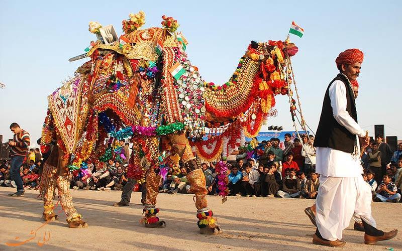 مسابقات زیبایی شترها در جشنواره شتر بیکانر راجستان هند