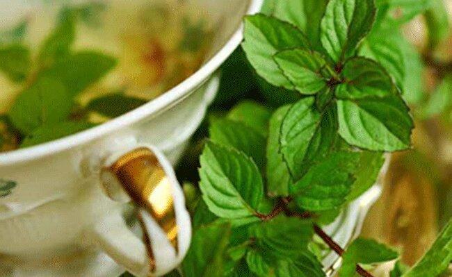 11 ماده غذایی مفید برای معده درد