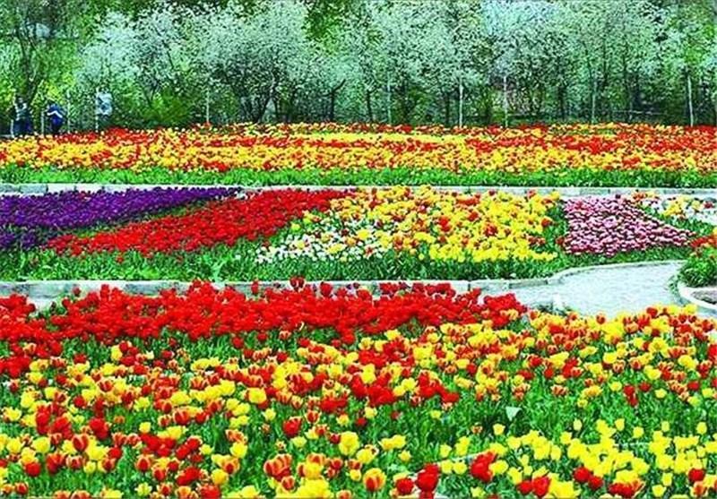 دهکده گل و گیاه در ارومیه افتتاح می شود دهکده گل و گیاه در ارومیه افتتاح می شود