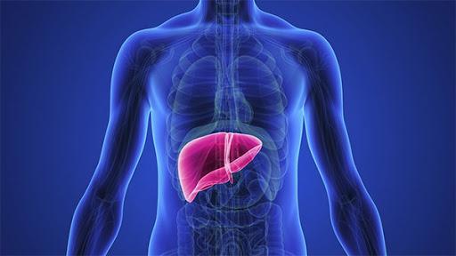 چه میوه هایی برای درمان کبد چرب مناسب است؟