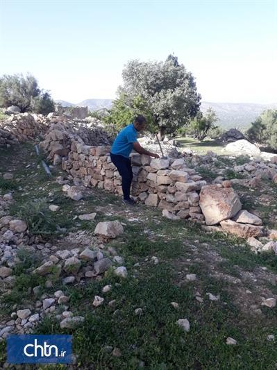 خشکه چینی اطراف سرو کهنسال کلانی در کازرون خشکه چینی اطراف سرو کهنسال کلانی در کازرون