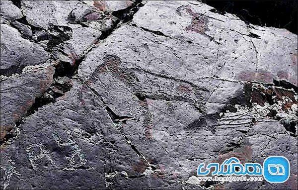 گالری با نقاشی های 15 هزار ساله و اسرارش