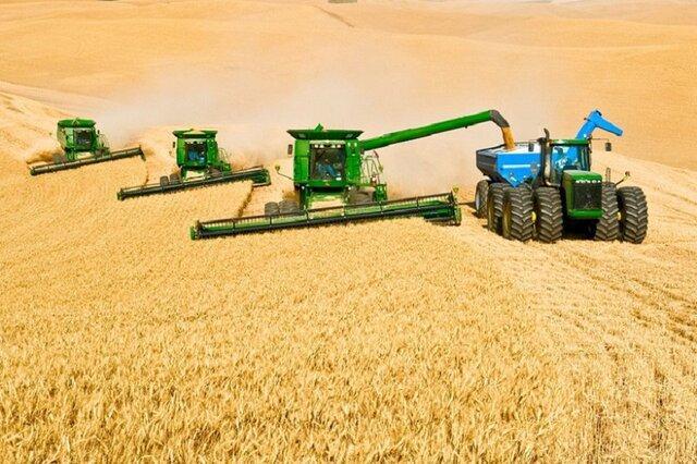 360 هزار تن گندم مازاد بر مصرف کشاورزان خرید تضمینی می گردد