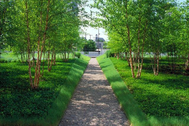 فضاهای سبز متناسب با احتیاج شهرها گسترش یابد