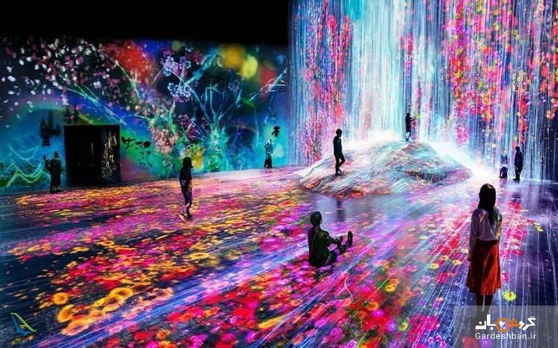موزه دیجیتالی نور در پاریس، عکس موزه دیجیتالی نور در پاریس، عکس